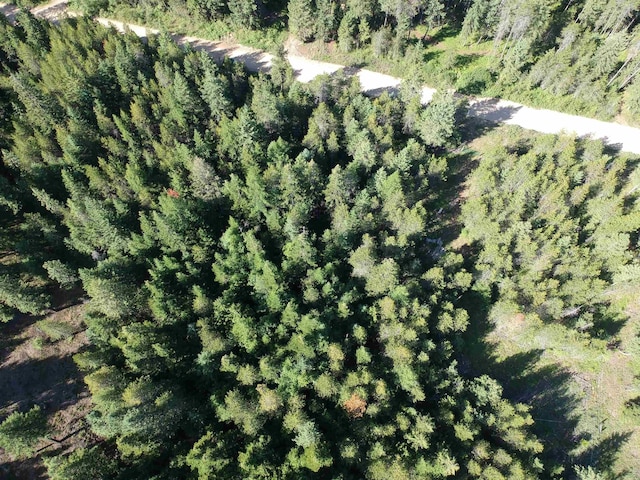 3900 Veit Rd, Newport, WA 99156 - photo 6