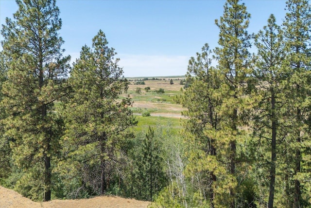 36000 S Bootstrap Ln Unit Parcel 11091.9026, Cheney, WA 99004 - photo 2