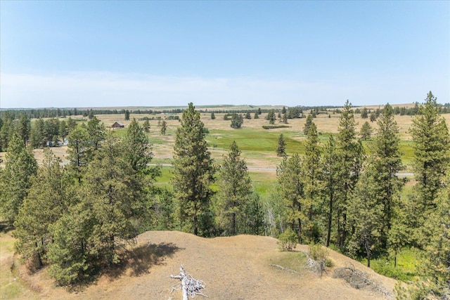 36000 S Bootstrap Ln Unit Parcel 11091.9026, Cheney, WA 99004 - photo 3