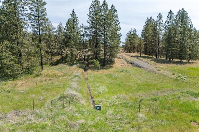 36000 S Bootstrap Ln Unit Parcel 11091.9026, Cheney, WA 99004 - photo 4