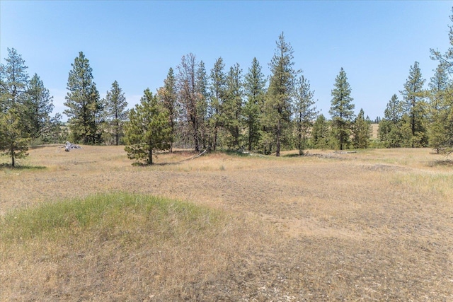 36000 S Bootstrap Ln Unit Parcel 11091.9026, Cheney, WA 99004 - photo 6