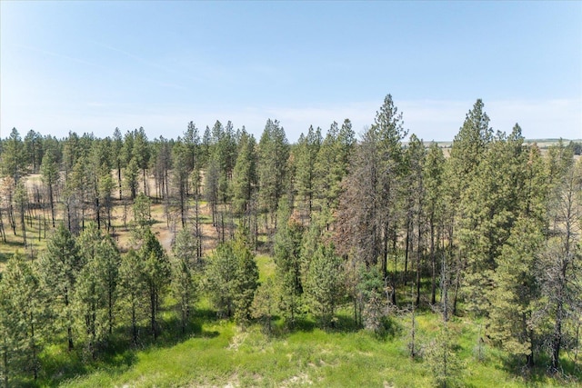 36000 S Bootstrap Ln Unit Parcel 11091.9026, Cheney, WA 99004 - photo 8