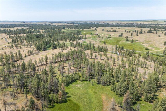36000 S Bootstrap Ln Unit Parcel 11091.9026, Cheney, WA 99004 - photo 9
