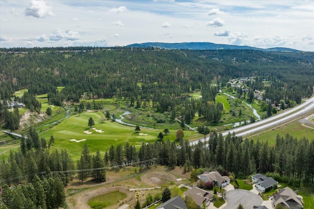 5211 S Falcon Point Ct, Spokane, WA 99224 - photo 25