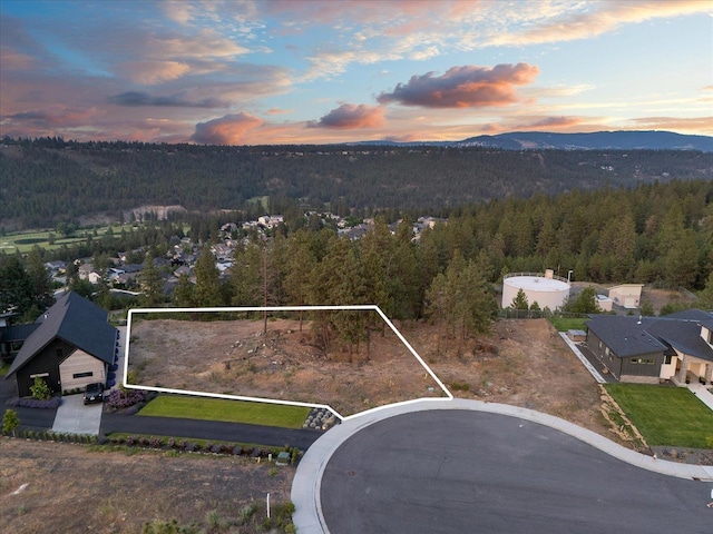 5211 S Falcon Point Ct, Spokane, WA 99224 - photo 8