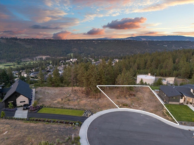 5229 S Falcon Point Ct, Spokane, WA 99224 - photo 4