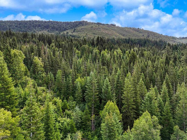 28251 N Leclerc Rd, Ione, WA 99139 - photo 19