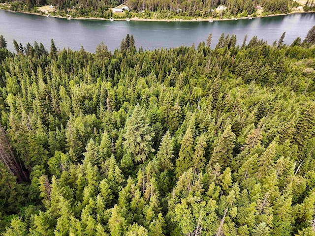 28251 N Leclerc Rd, Ione, WA 99139 - photo 27