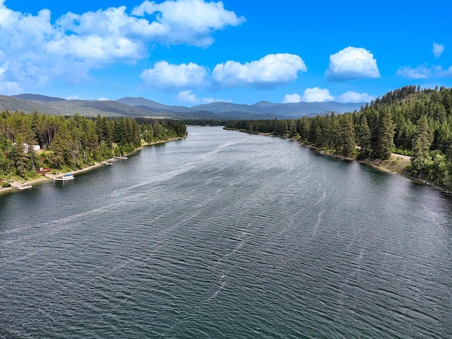 28251 N Leclerc Rd, Ione, WA 99139 - photo 6