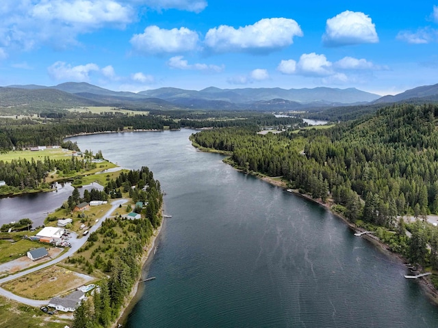28251 N Leclerc Rd, Ione, WA 99139 - photo 10