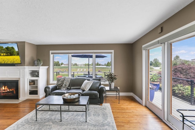2804 W Johannsen Rd, Spokane, WA 99208 - living area featuring light wood finished floors and a fireplace with flush hearth