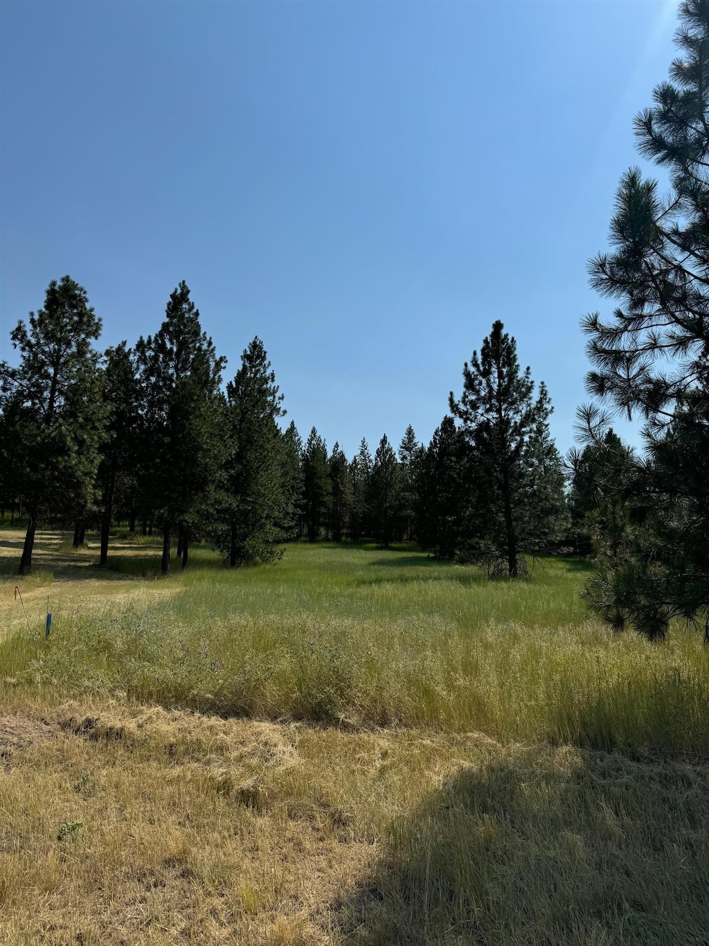 498XX E Forest Dr, Davenport, WA 99122 - photo 1