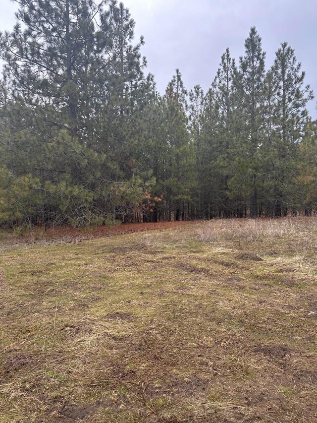18427 W Burnett Rd, Nine Mile Falls, WA 99026 - photo 2