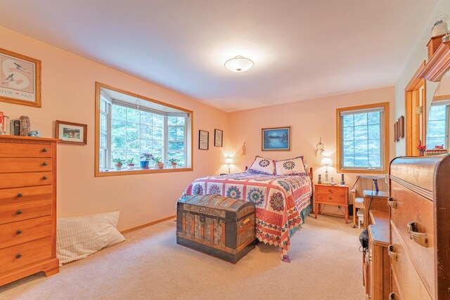 3853 White Pine Rd, Loon Lake, WA 99148 - photo 21