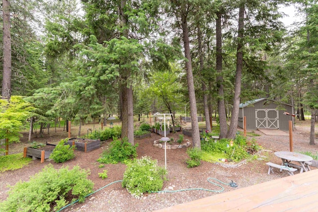 3853 White Pine Rd, Loon Lake, WA 99148 - photo 6