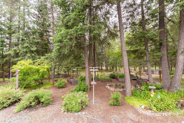 3853 White Pine Rd, Loon Lake, WA 99148 - photo 7