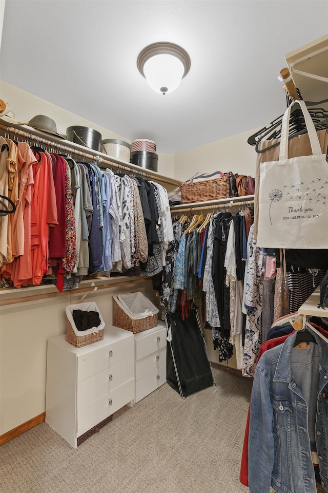 339 W Wilson Ave, Spokane, WA 99208 - walk in closet featuring carpet