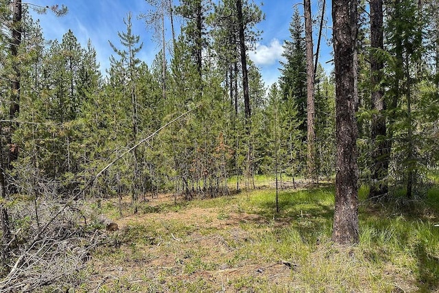 3792M E Jump Off Rd, Valley, WA 99181