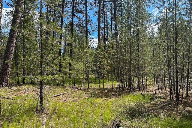3792M E Jump Off Rd, Valley, WA 99181