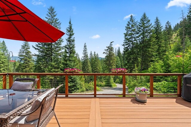 969 Western Larch Rd, Newport, WA 99156 - photo 29