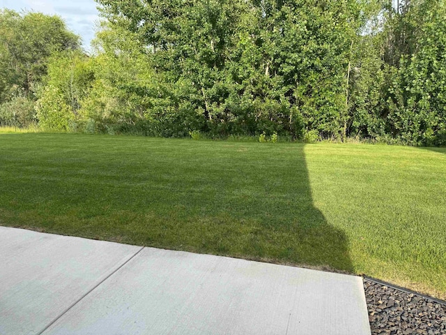 8404 N Summerhill Ln, Spokane, WA 99208 - view of green lawn