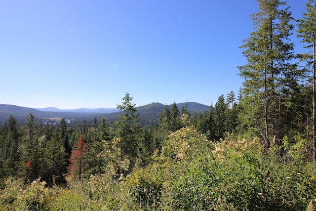 NKA Buck Creek Rd, Newport, WA 99156