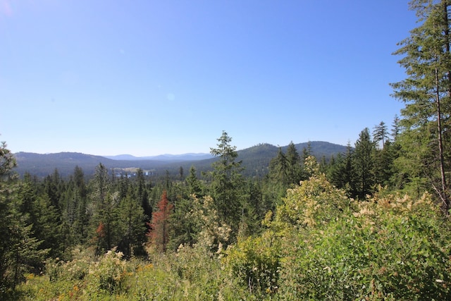 NKA Buck Creek Rd, Newport, WA 99156