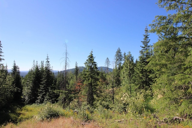 NKA Buck Creek Rd, Newport, WA 99156
