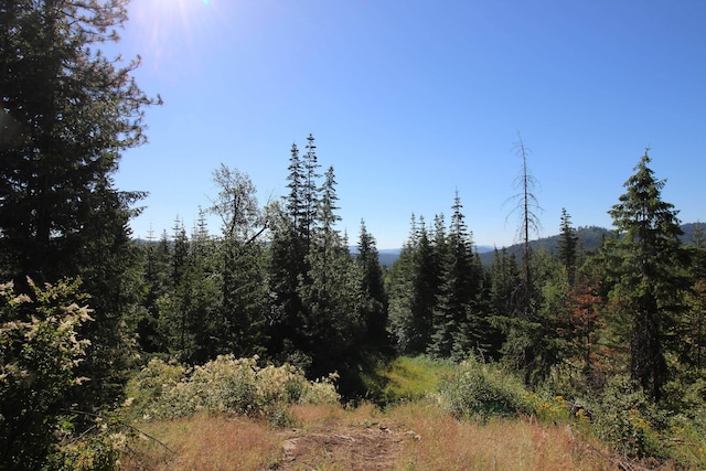 NKA Buck Creek Rd, Newport, WA 99156