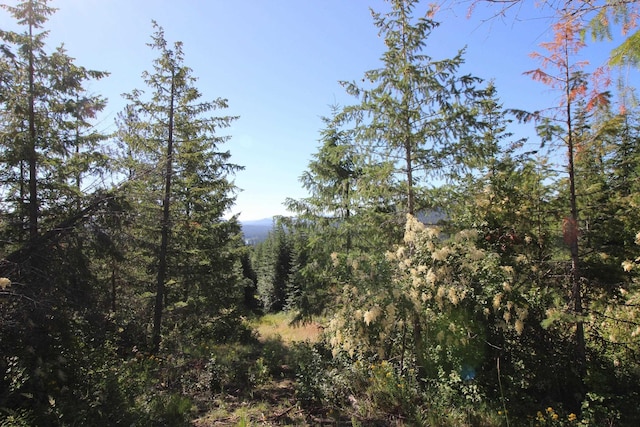 NKA Buck Creek Rd, Newport, WA 99156