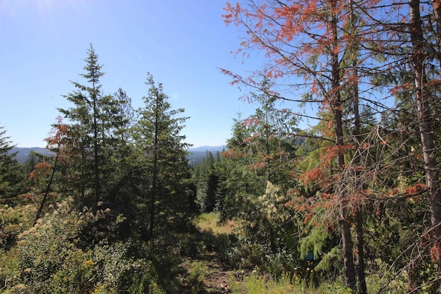 NKA Buck Creek Rd, Newport, WA 99156