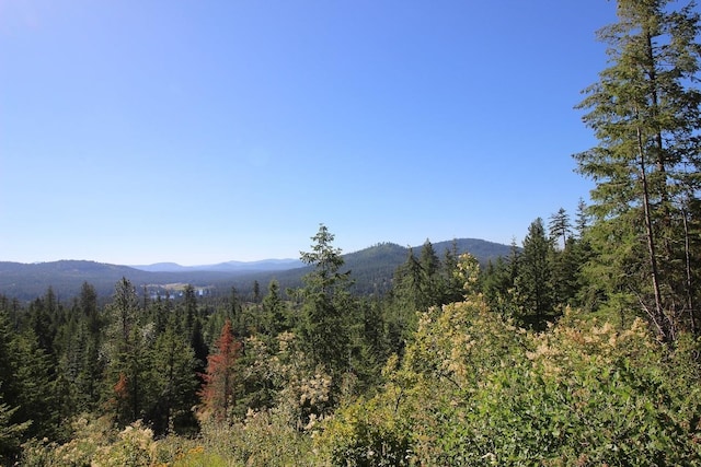 NKA Buck Creek Rd, Newport, WA 99156