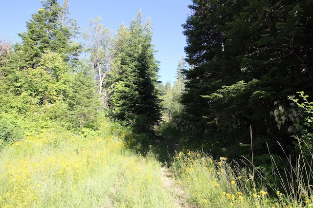 NKA Buck Creek Rd, Newport, WA 99156