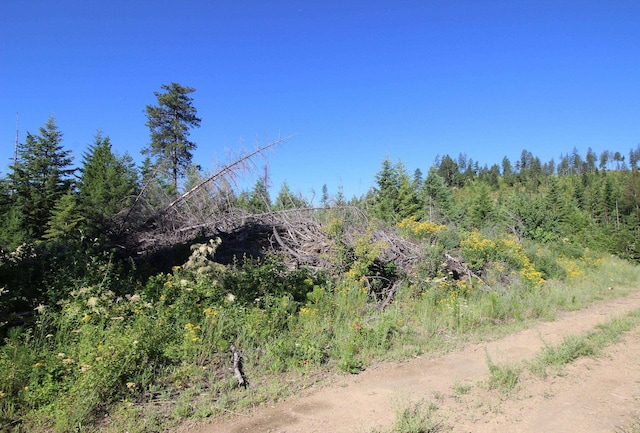 NKA Buck Creek Rd, Newport, WA 99156