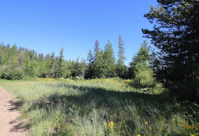 NKA Buck Creek Rd, Newport, WA 99156