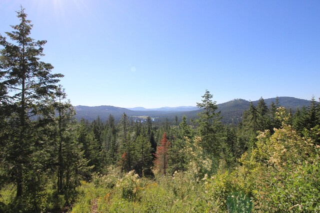 NKA Buck Creek Rd, Newport, WA 99156