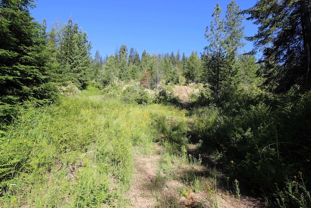 NKA Buck Creek Rd, Newport, WA 99156
