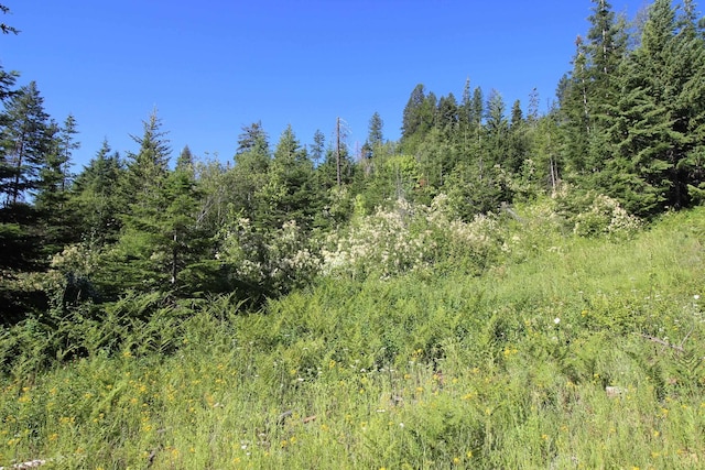 NKA Buck Creek Rd, Newport, WA 99156