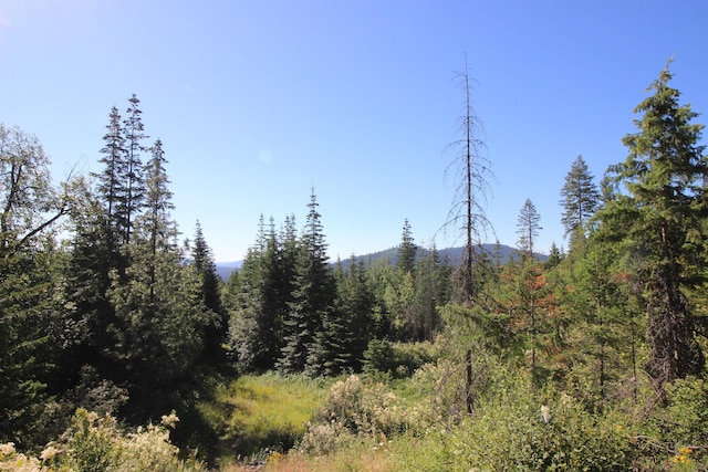 NKA Buck Creek Rd, Newport, WA 99156