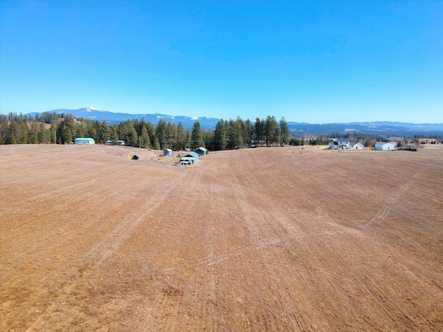 21200 N N Division Rd, Colbert, WA 99005