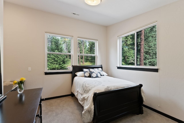 25204 N Lords Ln, Chattaroy, WA 99003 - carpeted bedroom with baseboards