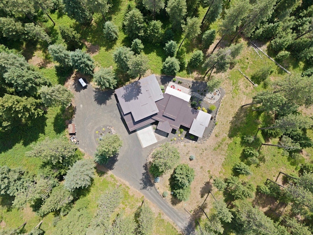 25204 N Lords Ln, Chattaroy, WA 99003 - view of subject property