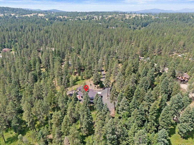 25204 N Lords Ln, Chattaroy, WA 99003 - view of property location featuring a forest and a mountainous background