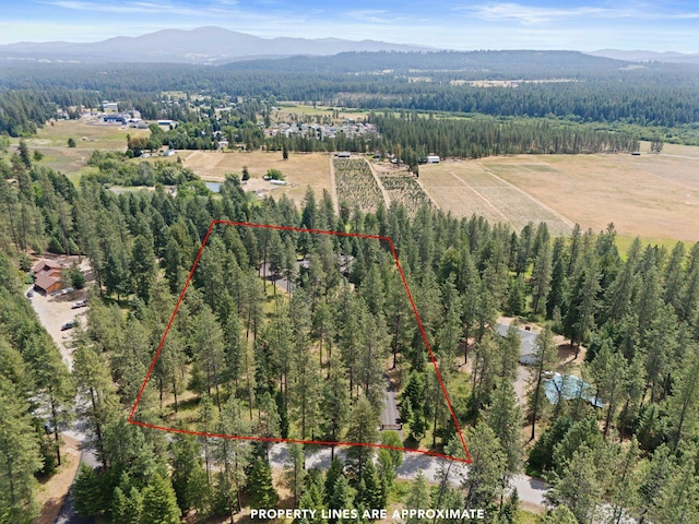 25204 N Lords Ln, Chattaroy, WA 99003 - aerial view of property and surrounding area with a mountain backdrop and property boundaries highlighted