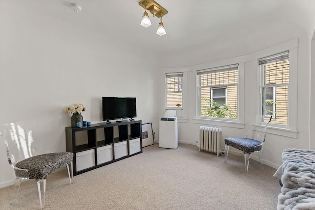 1108 S Wall St, Spokane, WA 99204 - photo 19