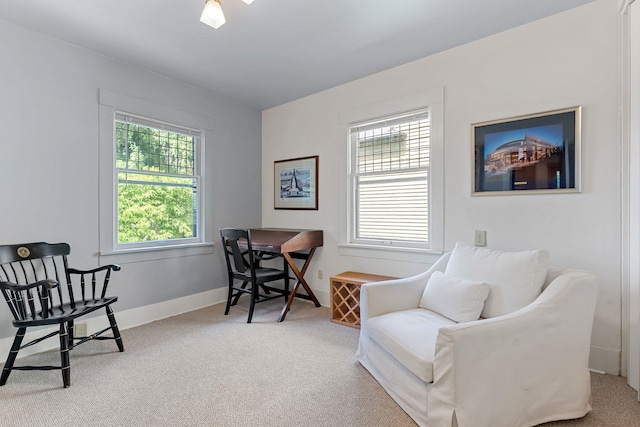 1108 S Wall St, Spokane, WA 99204 - photo 23