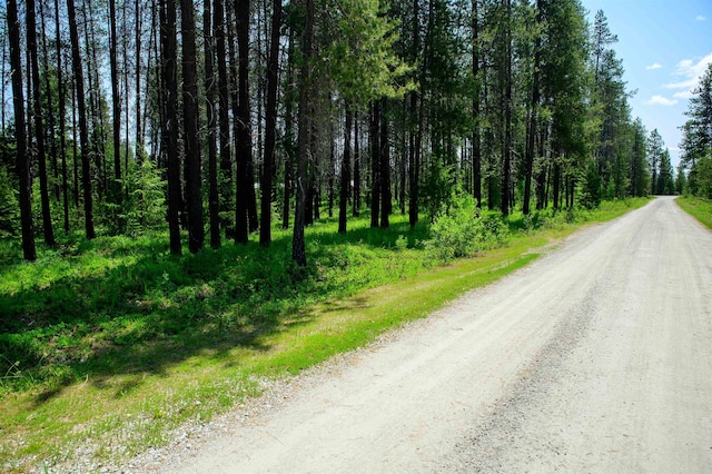191 Amherst Ln, Newport, WA 99156 - view of dirt / gravel road with a view of trees