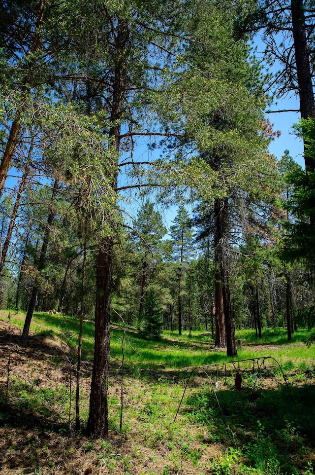 191 Amherst Ln, Newport, WA 99156 - view of undeveloped land