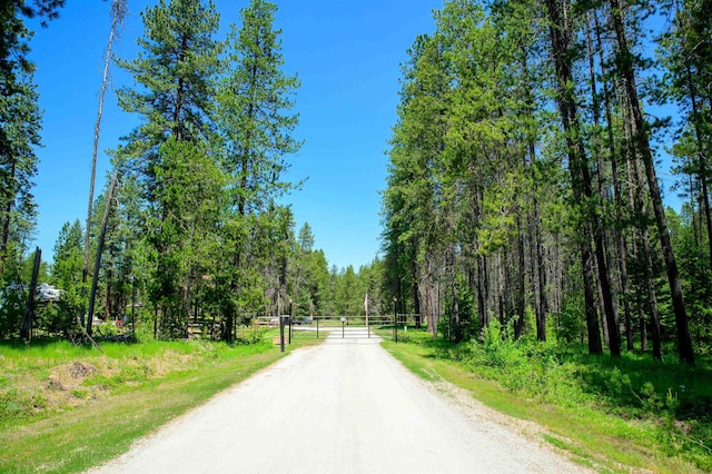 191 Amherst Ln, Newport, WA 99156 - view of dirt / gravel road with a forest view and a gate