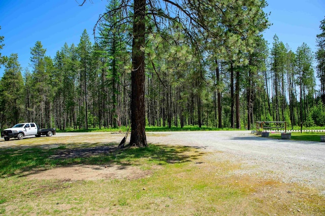 191 Amherst Ln, Newport, WA 99156 - view of dirt / gravel road featuring a view of trees